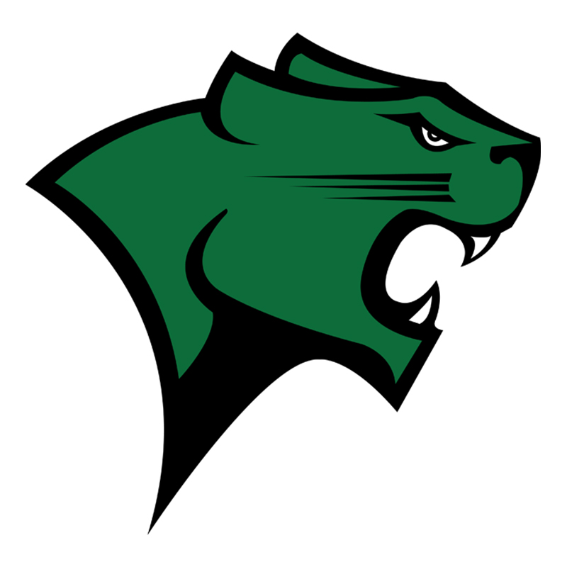 Chicago State Cougars iron ons